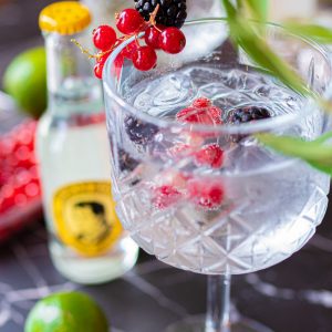 Gin Tonic